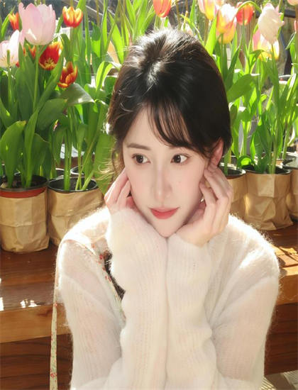 《狗咬狗2006》不同导演版本比较：艺术风格差异分析